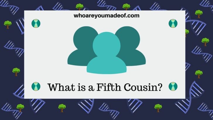 What is a Fifth Cousin