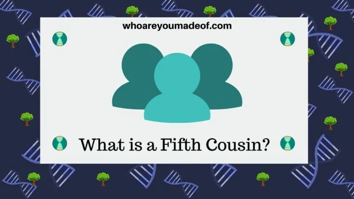 What is a Fifth Cousin