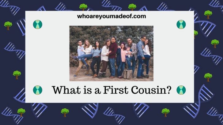 What is a First Cousin
