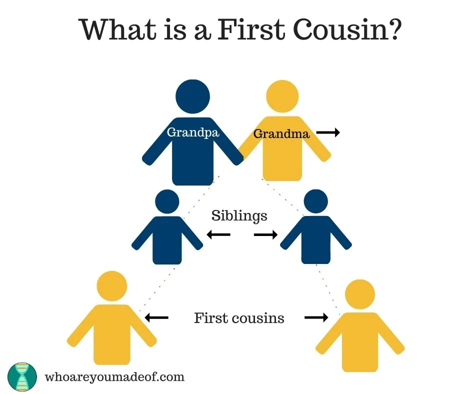 Graphic illustrating the relationship between two first cousins.  Grandma and grandpa had two children, and the children of those children are first cousins