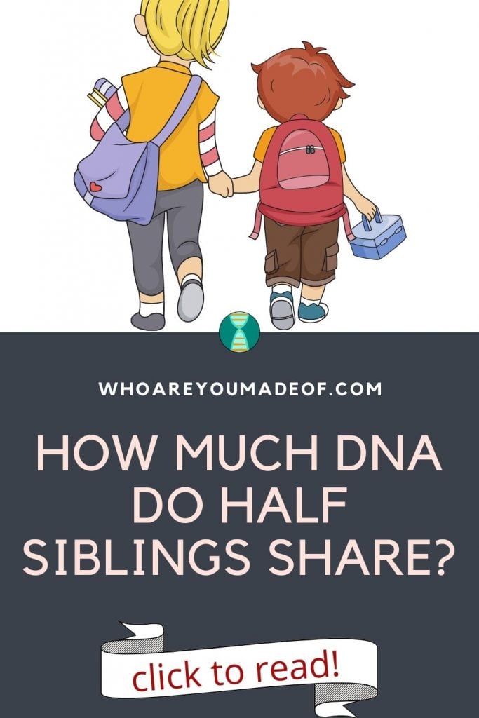 How much DNa do half siblings share Pinterest image with graphic of two siblings walking to school holding hands