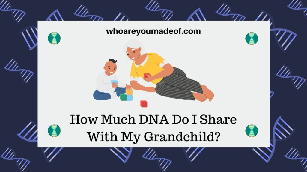 How Much DNA Do I Share With My Grandchild?