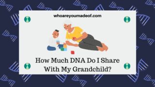 How Much DNA Do I Share With My Grandchild? - Who Are You Made Of?