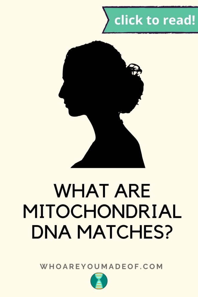 What are Mitochondrial DNA Matches? Pinterest image with silhouette of a woman