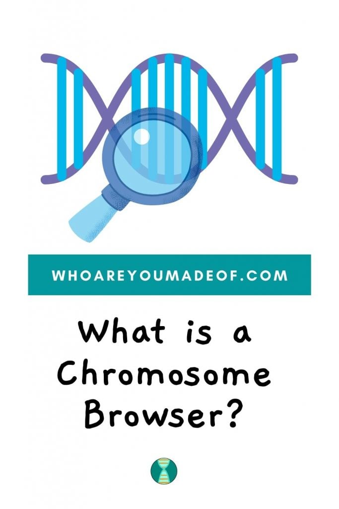 What is a chromosome browser pinterest image with DNA and magnifying glass