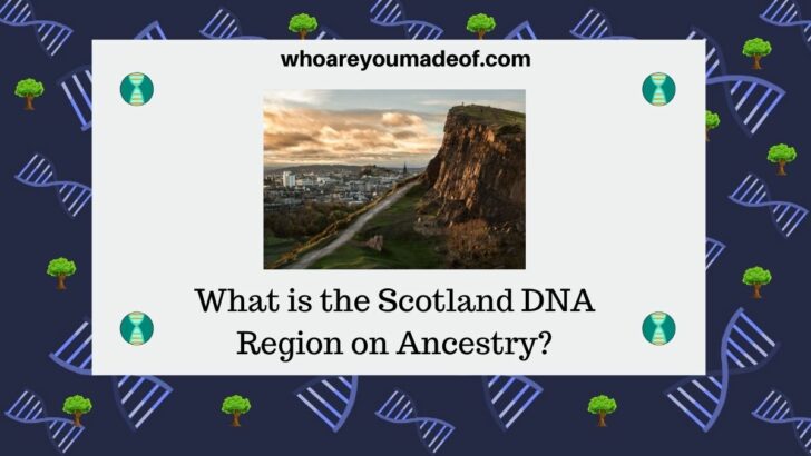 What is the Scotland DNA Region on Ancestry
