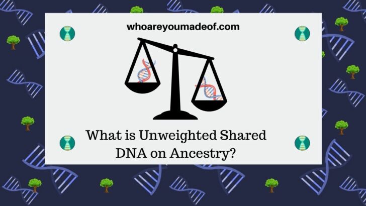 What is Unweighted Shared DNA on Ancestry