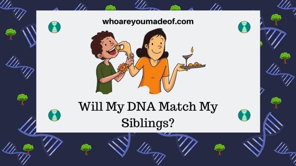 Will My DNA Match My Siblings? Featured image with graphic of siblings celebrating Raksha Bandhan, a Hindu ceremony