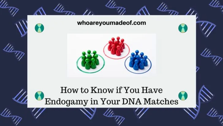 How to Know if You Have Endogamy in Your DNA Matches