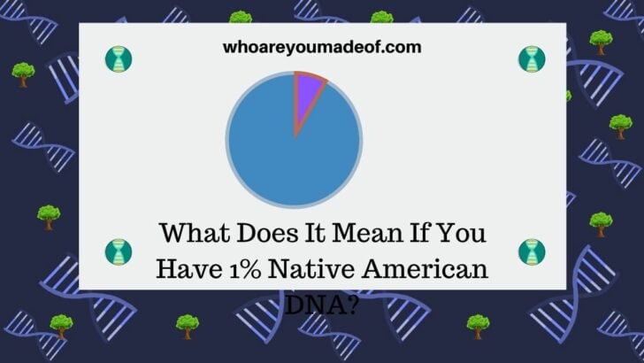 What Does It Mean If You Have 1% Native American DNA