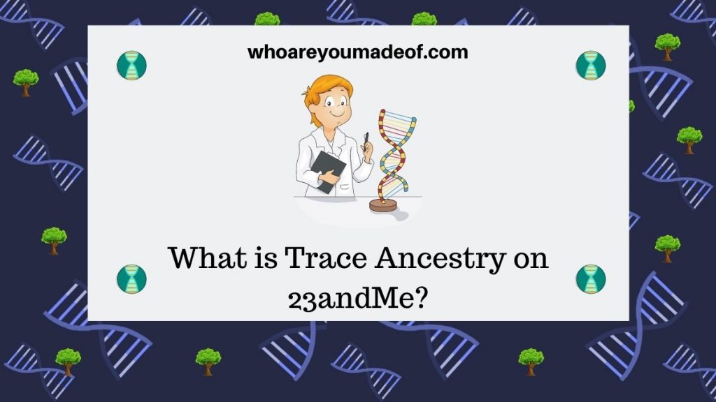 What is Trace Ancestry on 23andMe