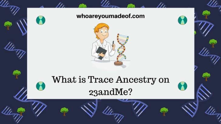 What is Trace Ancestry on 23andMe