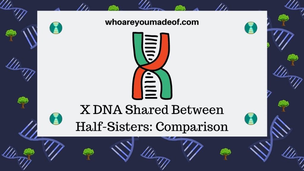 X DNA Shared Between Half-Sisters Comparison