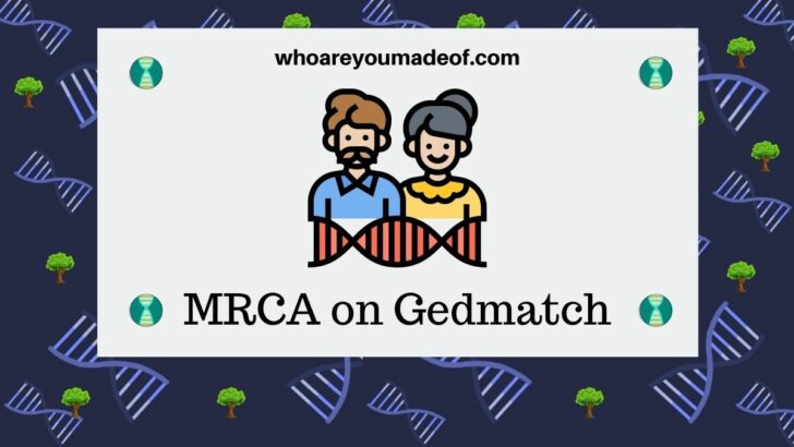 MRCA on Gedmatch What does it mean
