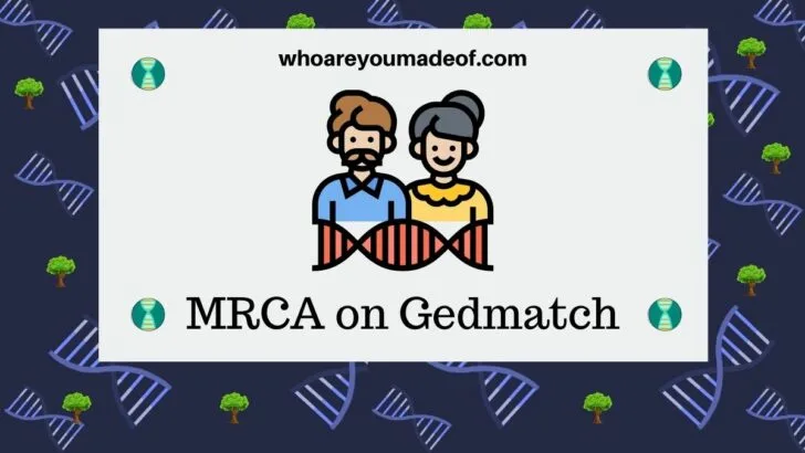 MRCA on Gedmatch What does it mean