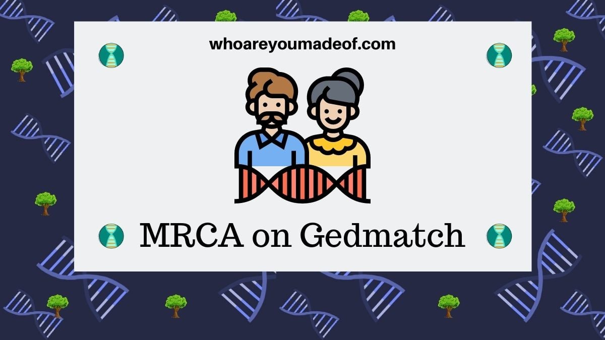 Mrca On Gedmatch What Does It Mean Who Are You Made Of