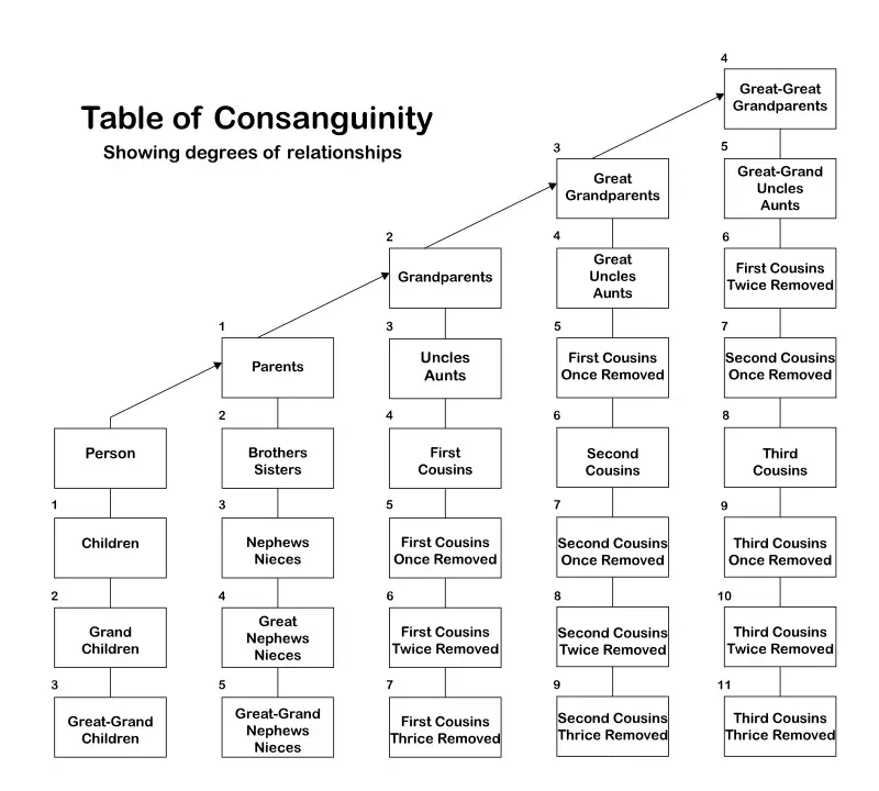 Chart showing degrees of consanguinity for relatives ranging from children to great-grandchildren to great-great grandparents to third cousins three-times removed