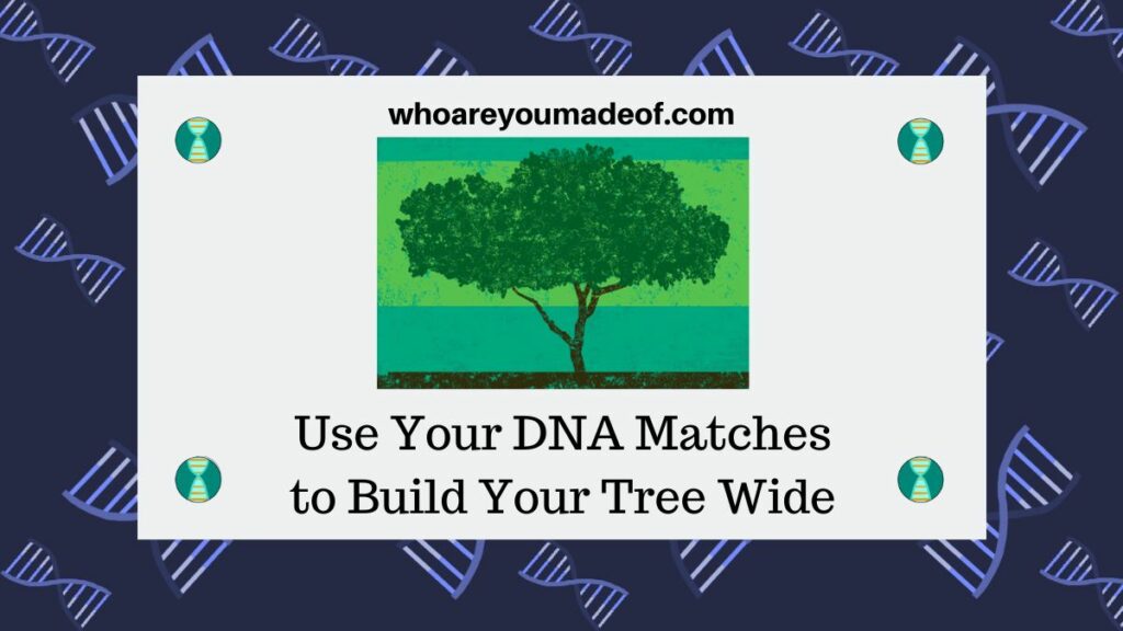Use Your DNA Matches to Build Your Tree Wide
