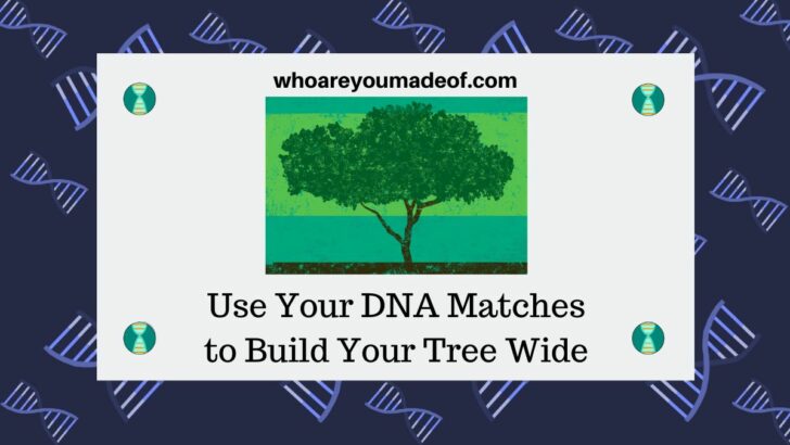 Use Your DNA Matches to Build Your Tree Wide