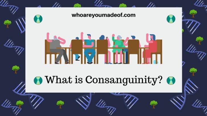 What is Consanguinity