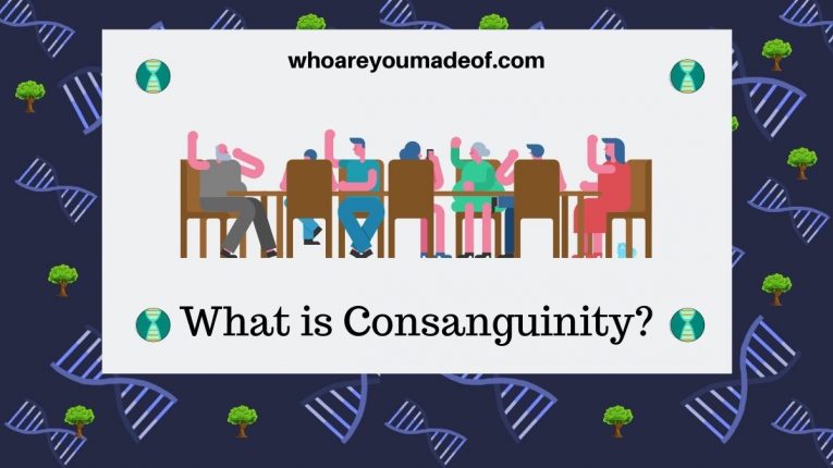 What is Consanguinity? - Who are You Made Of?