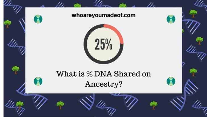 What is % DNA Shared on Ancestry