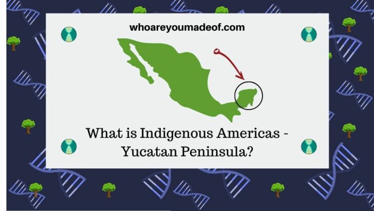 What is Indigenous Americas - Yucatan Peninsula on Ancestry