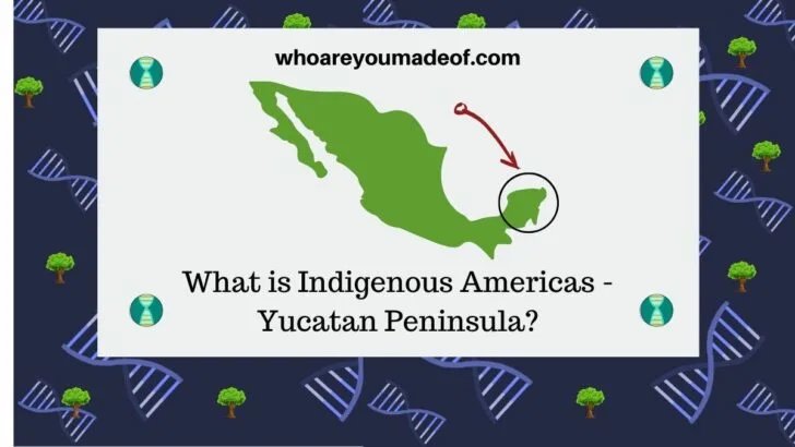 What is Indigenous Americas - Yucatan Peninsula on Ancestry