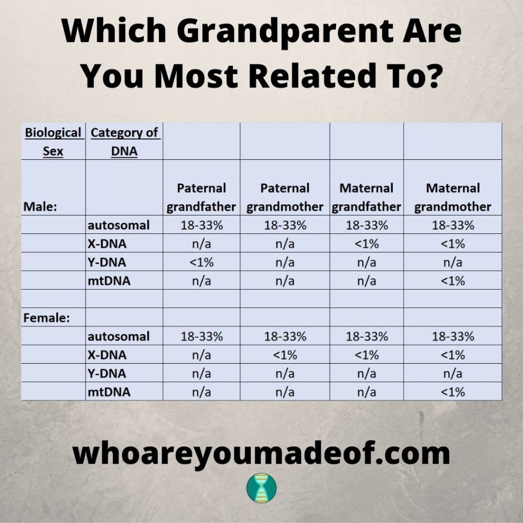 Spreadsheet chart illustrating the amount of the four categories of DNA that someone can share with their four grandparents, bluish chart on a brownish background with black text