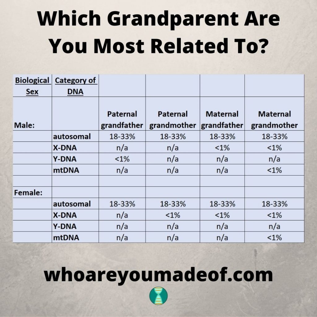 Which Grandparent Are You Most Related To? - Who are You Made Of?