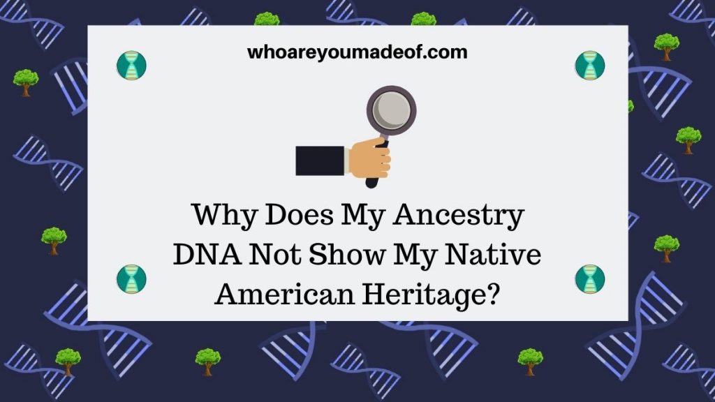 Why Does My Ancestry DNA Not Show My Native American Heritage