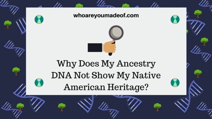 Why Does My Ancestry DNA Not Show My Native American Heritage