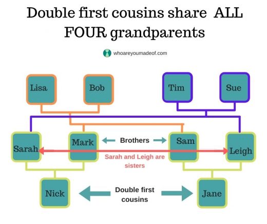 What is a Double First Cousin? - Who are You Made Of?