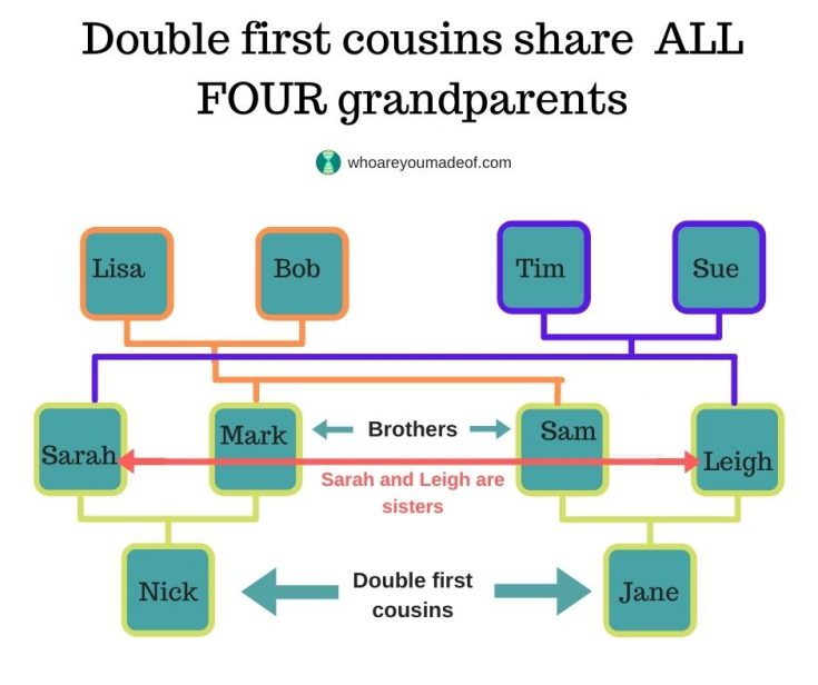 What Is A Double First Cousin Who Are You Made Of 