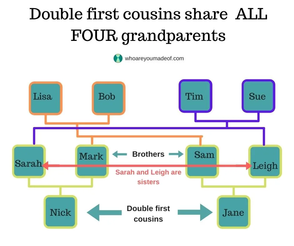This graphic shows how the parents of two sets of siblings who married are all four the ancestors of the double first cousins, Nick and Jane.  This is the same family that was described in the previous graphic.  The parents of Sarah and Leigh are Tim and Sue, and the parents of Mark and Sam are Lisa and Bob.  The grandchildren, Nick and Jane, the double first cousins, are both descended from all four of these individuals.