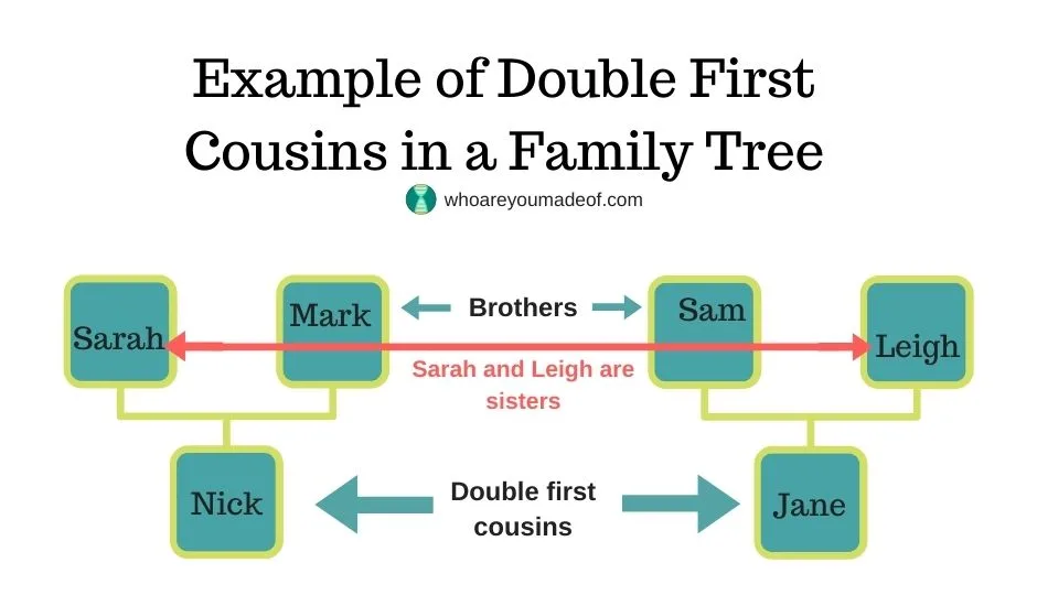 Example of double first cousins in a family tree, sarah and leigh, siblings, are married to sam and mark, who are also siblings.  Sarah and Mark had a son, Nick, who is a double first cousin to Jane, the daughter of Sam and Leigh.  This is because Sarah and Leigh are sisters and they married brothers Mark and Sam.