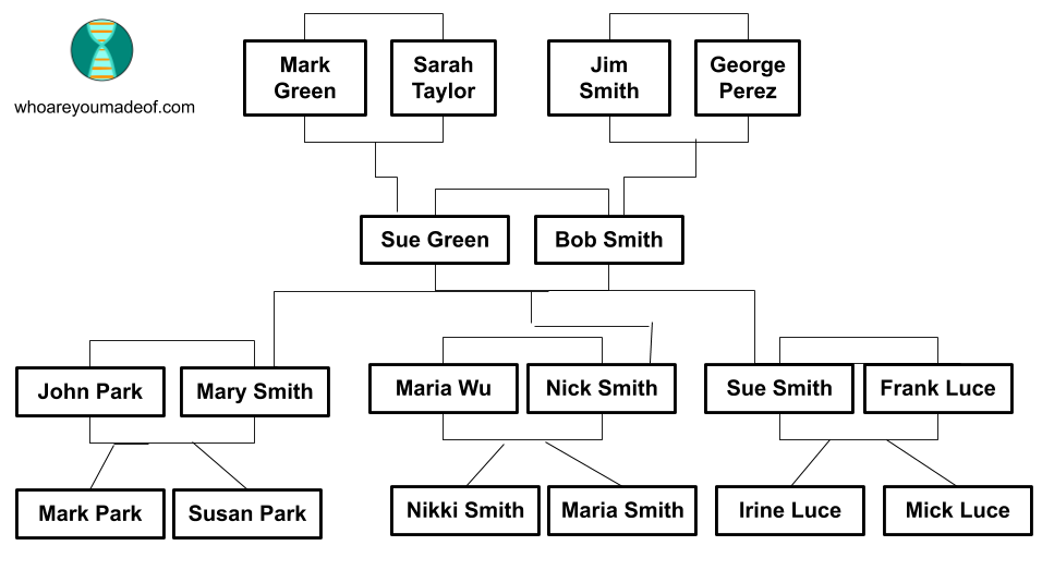 This family tree shows everyone who is descended from Sue Green and Bob Smith, as well as Sue and Bob's parents who are the great-grandparents of the cousins at the bottom of the chart