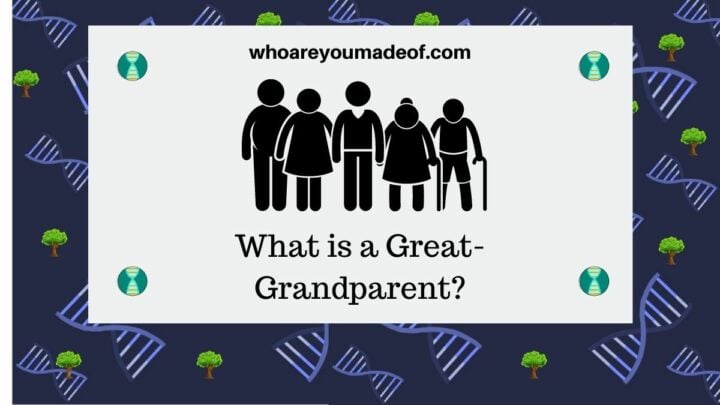 What is a Great-Grandparent