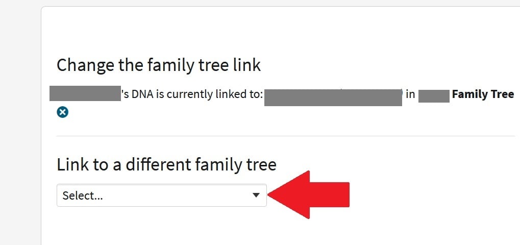 The screenshot shows the Tree Link page where you can choose the tree that you would like to link your results to.  By clicking on the down arrow, you will find a dropdown menu will all of the trees that are connected to your main ancestry account