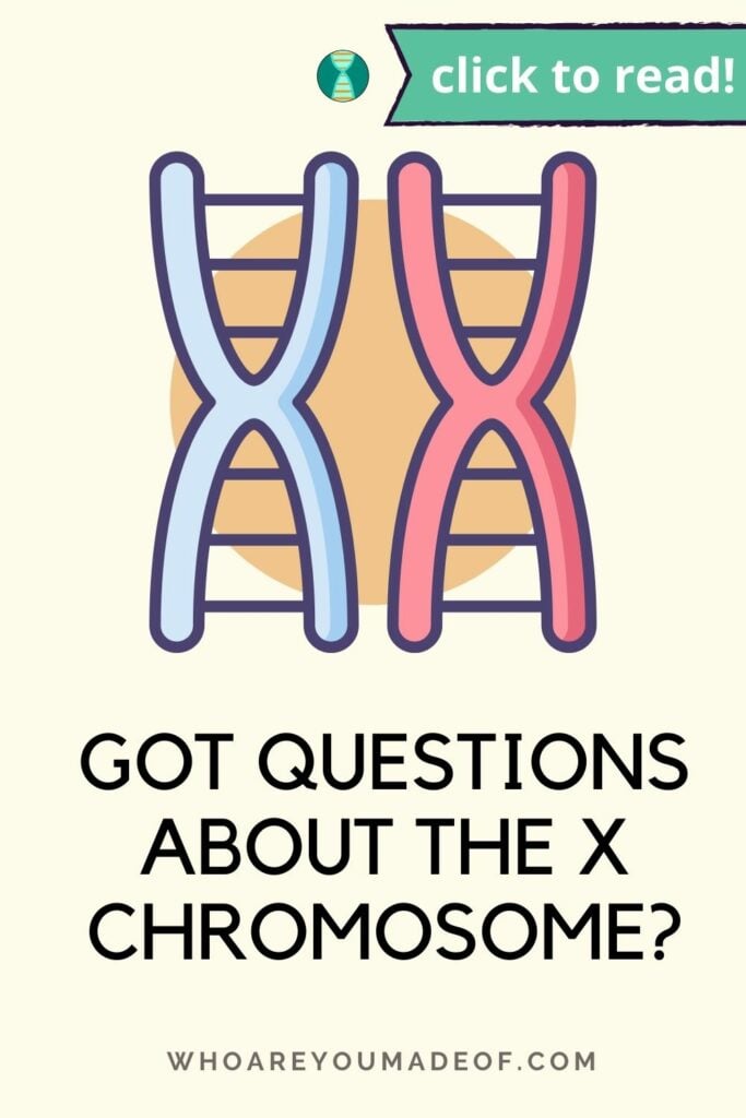 Pin title of "Got questions about the X chromosome?" and a graphic of two strands of DNA on a pale yellow backgrounnd