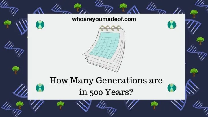 How Many Generations are in 500 Years?