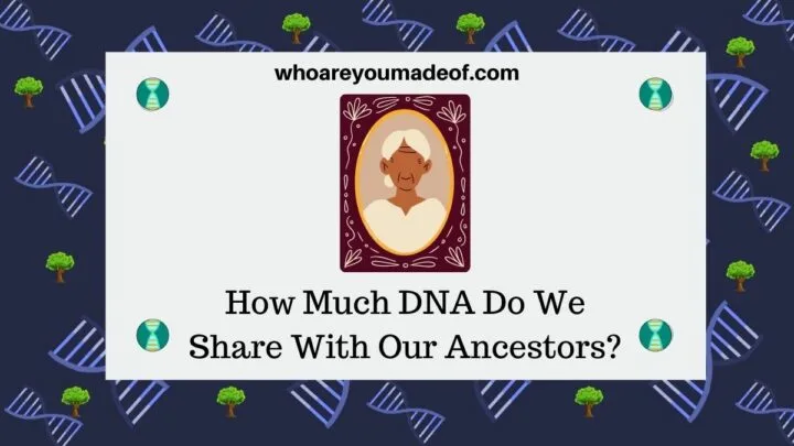 How Much DNA Do We Share With Our Ancestors?