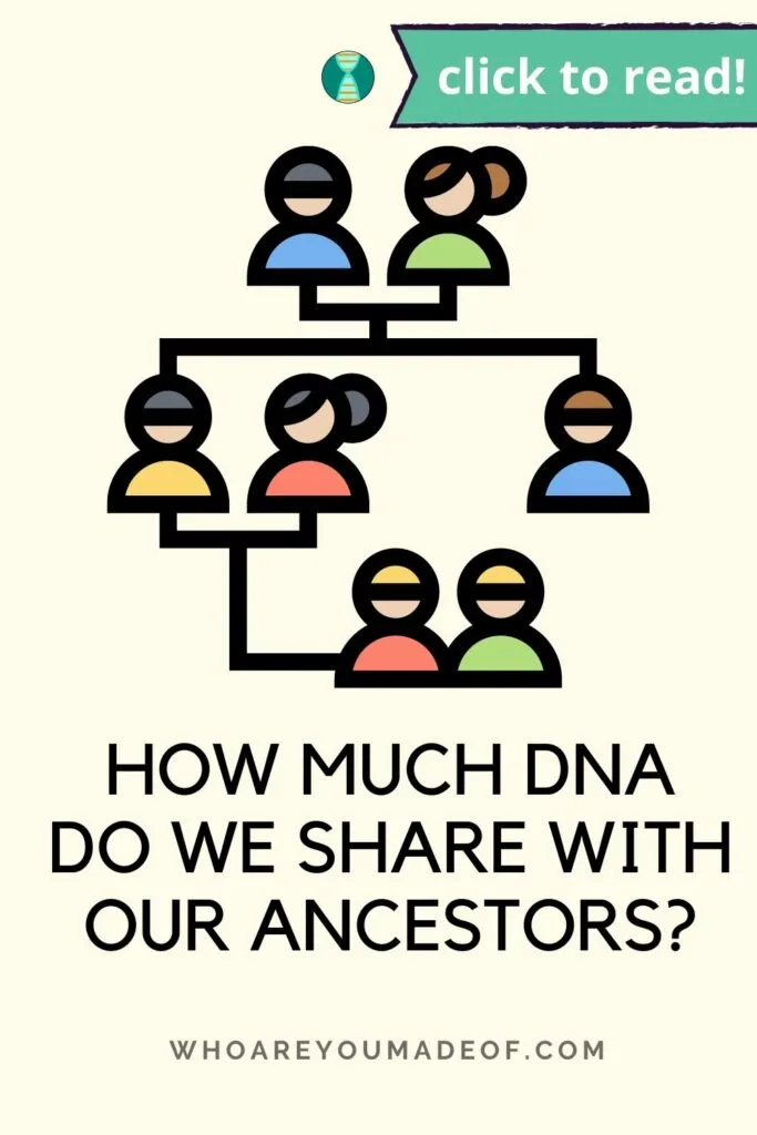 Pin title of "how much DNA do we share with our ancestors" along with a graphic of a pedigree chart on a pale yellow background" 