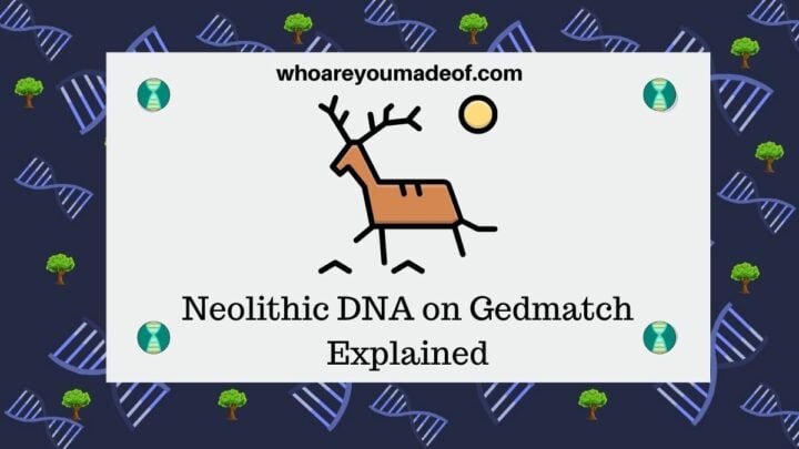 Neolithic DNA on Gedmatch Explained