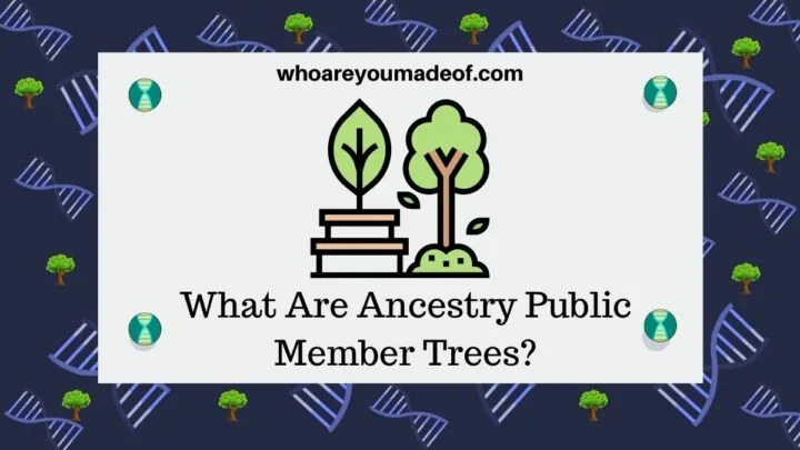 What Are Ancestry Public Member Trees