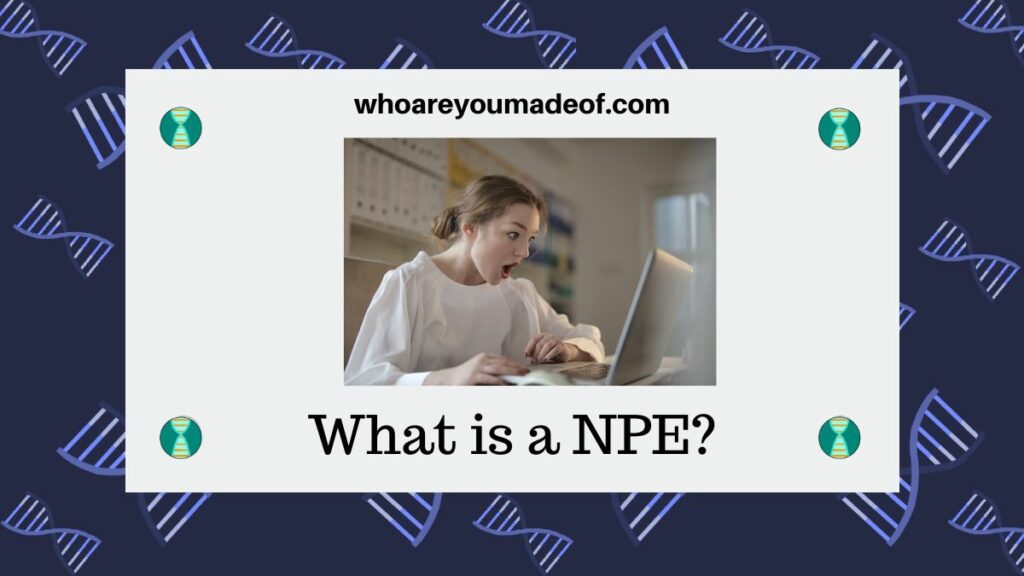 What is a NPE?