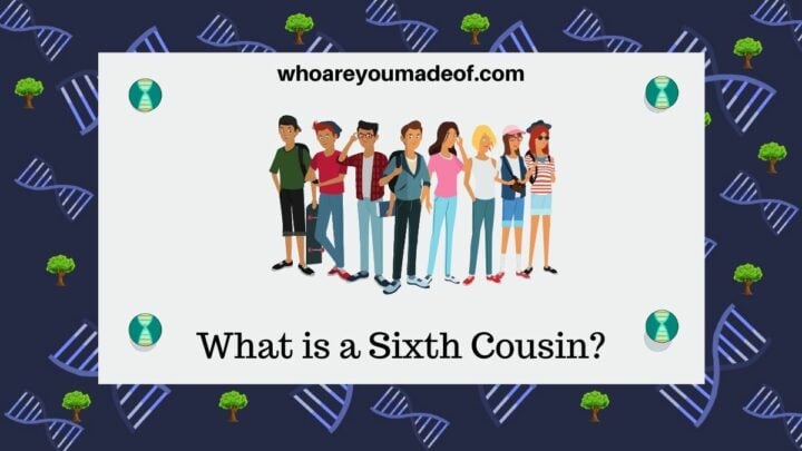 What is a Sixth Cousin?