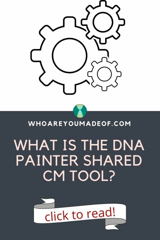 What Is The DNA Painter Shared CM Tool? - Who Are You Made Of?