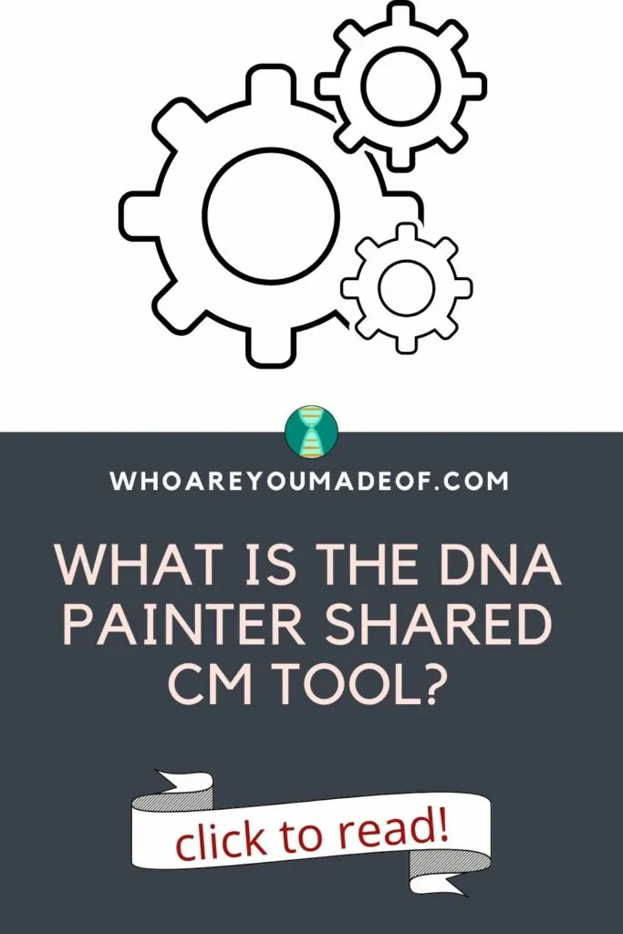 graphic of gears and the pin title: What is the DNA Painter Shared cM Tool?
