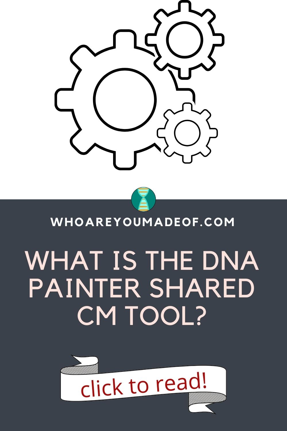 What is the dna painter shared cm tool who are you made of 